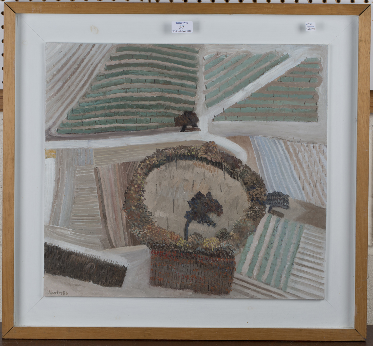 Liam Hanley - 'A Little Italy, Orvieto 1',oil on paper laid on board, signed and dated '86 recto, - Image 6 of 6