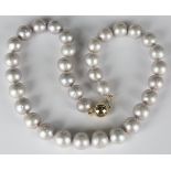 A single row necklace of graduated pale grey tinted freshwater cultured pearls on a gold snap clasp,