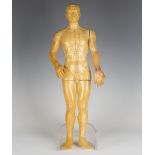 A 20th century moulded rubber male meridian acupuncture model, length 50cm.Buyer’s Premium 29.4% (