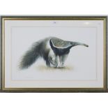 Matthew Hillier - 'Giant Anteater', late 20th century watercolour, pastel and pencil, signed in