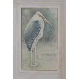 Lilian Andrews - 'The Adjutant Stork', pencil and pastel on vellum paper laid on board, signed