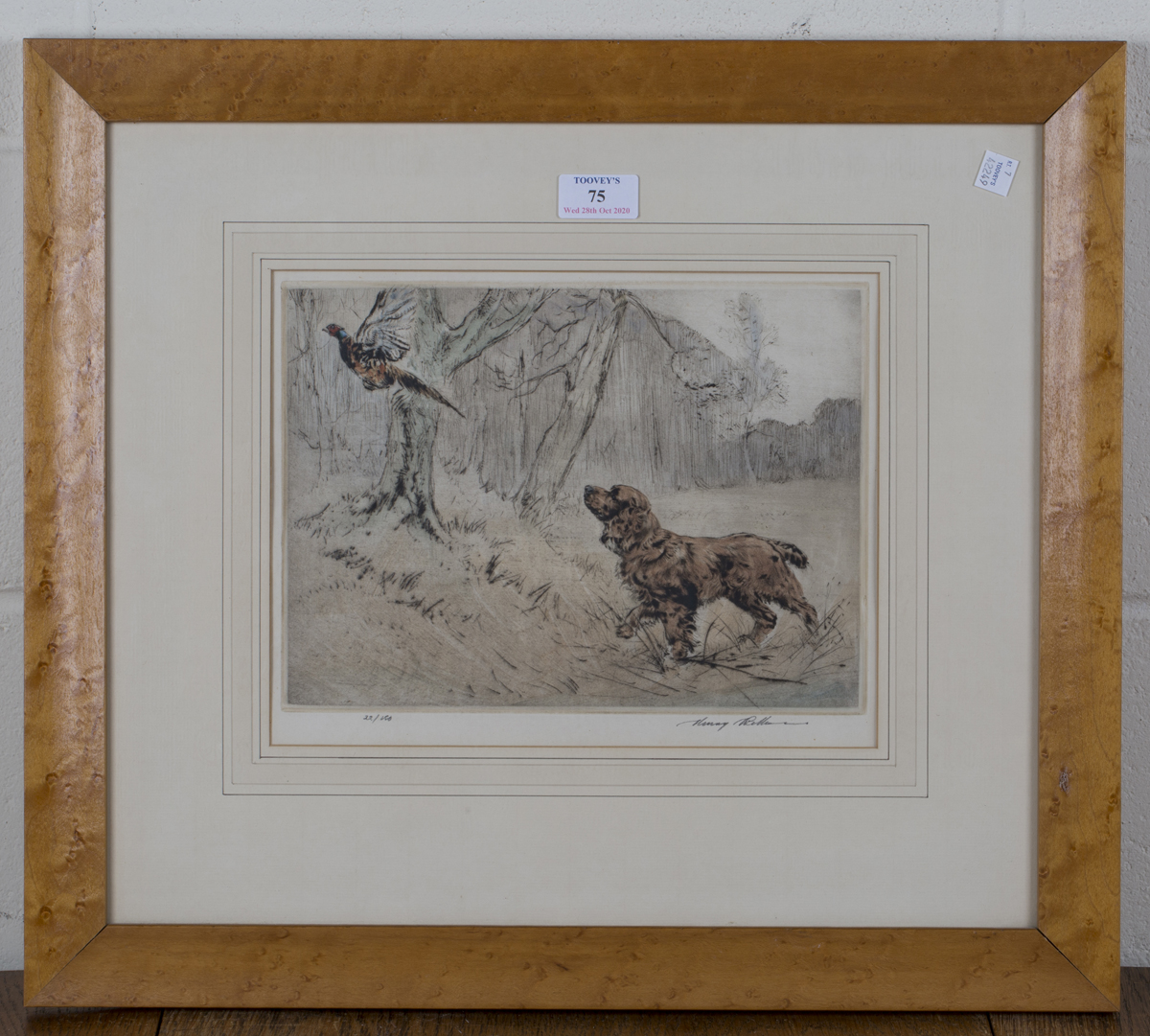 Henry Wilkinson - Red Setter flushing out a Pheasant, hand-coloured etching, signed and editioned