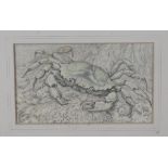 Lilian Andrews - 'Shore Crab', pencil and pastel on vellum paper laid on board, signed with monogram