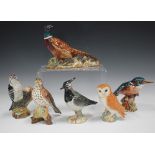 Six Beswick birds, comprising lapwing, No. 2416, lesser spotted woodpecker, No. 2420, pheasant,