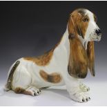 A near life-size Italian pottery model of a Bassett Hound, 20th century, height 42cm, length 50cm.