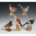 Five Beswick birds, comprising cuckoo, No. 2315, magpie, No. 2305, jay, No. 2417, kestrel, No. 2316,