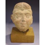 An Indian terracotta head, probably Gupta period, 6th century, modelled with hair tied, height 12.