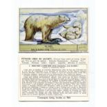 A collection of Liebig trade cards, most sets, including 6 'Bears' (S1620) and 6 'Robin Hood' (