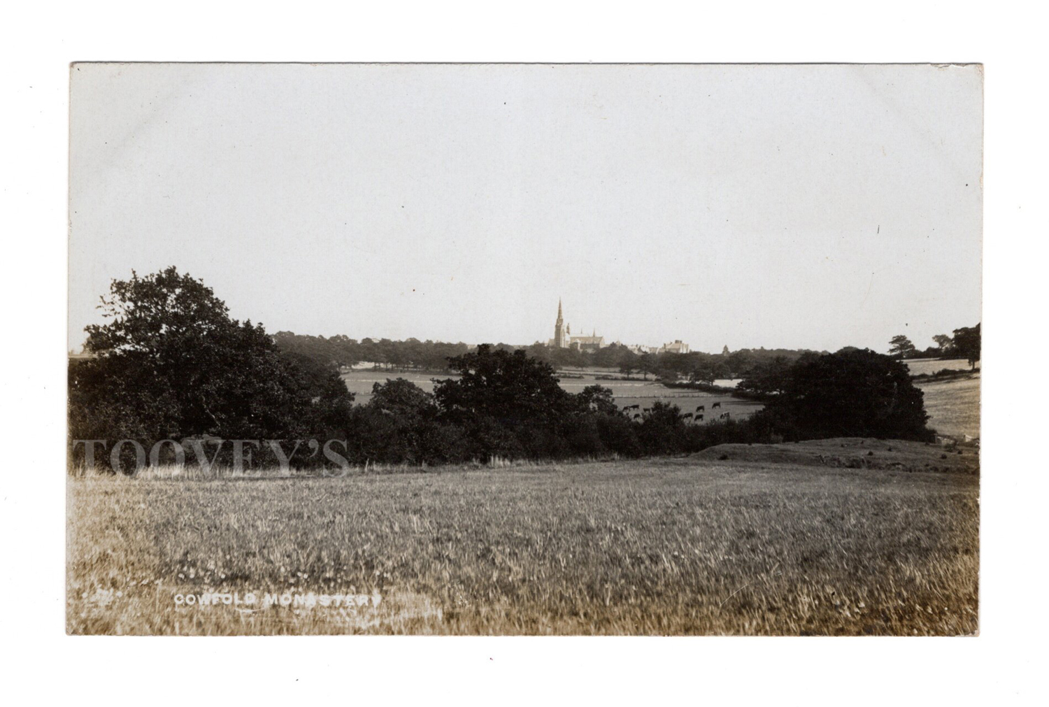 A collection of 19 photographic postcards of West Sussex, including postcards titled 'Shipley Post - Image 10 of 19