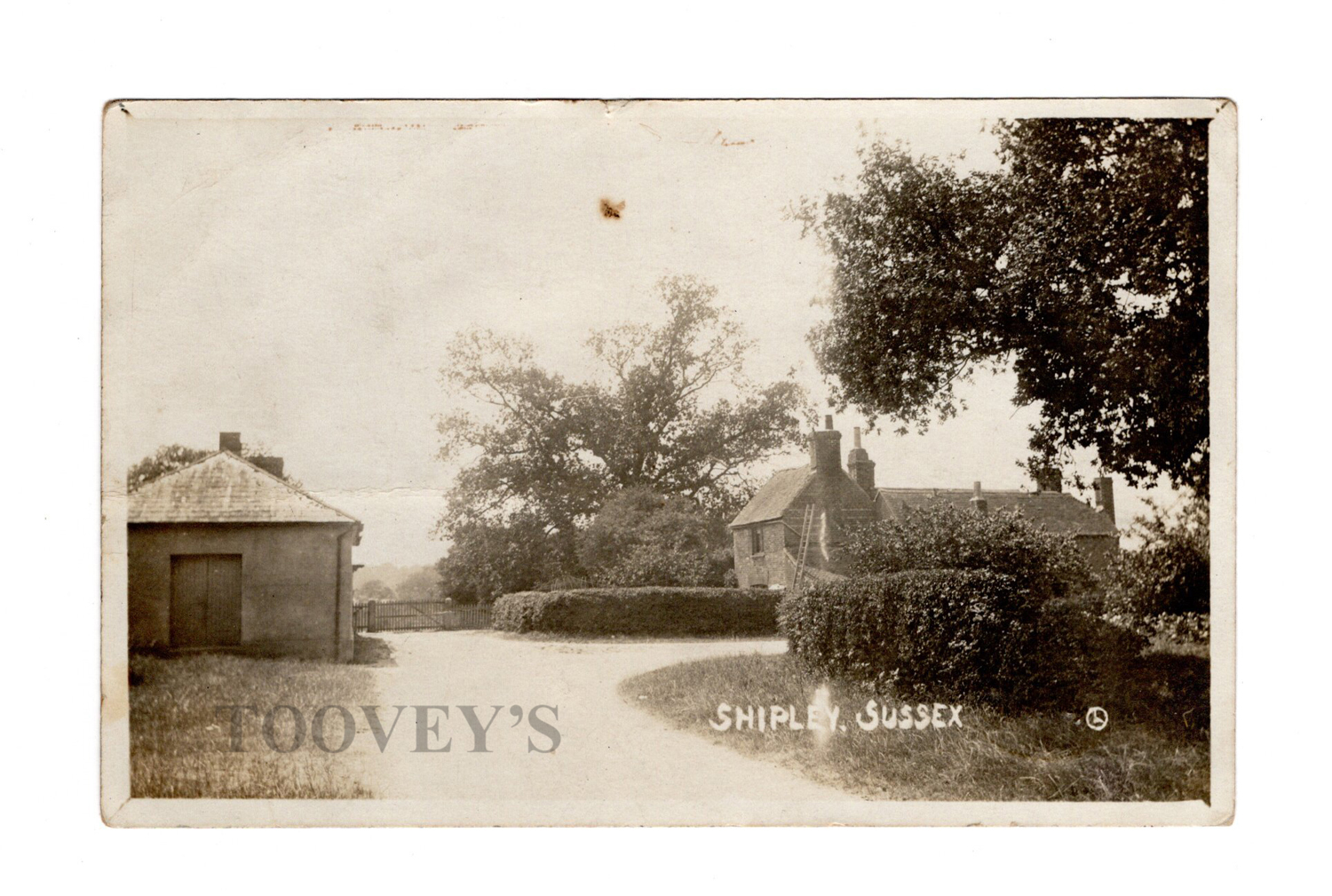 A collection of 19 photographic postcards of West Sussex, including postcards titled 'Shipley Post - Image 16 of 19