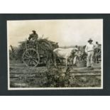 PHOTOGRAPHS. An album titled on the upper cover 'A Cruise to the West Indies', containing