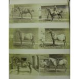 PHOTOGRAPHS. A leather-bound album containing approximately 276 mounted albumen-print photographs,