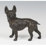 An early 20th century Austrian cast bronze model of a Boston terrier with gilt decorated collar,