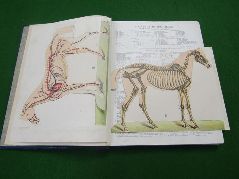 'Cassell's New Book of the Horse' by Charles Richardson, with coloured plates and photographic - Image 2 of 4
