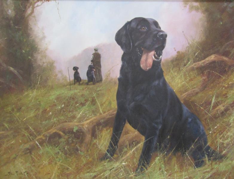 John Trickett - black Labrador seated and awaiting instruction, signed, oil on canvas, framed,