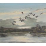 Hugh Monahan - Mallards Talkin Tarn, Cumberland, signed, oil on canvas, framed, 40cm x 50cm.