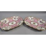 A pair of early 19c pink ground plates, each painted with four pairs of birds within gilt scroll