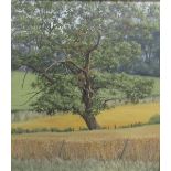 Jeanne Holder 1976 - Old Oak Bury Farm, Edgware, signed and dated, acrylic on board, framed, 31cm