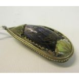 A late 19c shell and silver plate vesta box with hinged cover and strike. 8cms l.