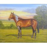 Barry Davis - A Bay Stallion, signed, oil on canvas. Framed, 25cms x 30cms.
