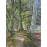 Brian Bennett 67 - Ashridge Woods, signed in mono BTNB '67, oil on canvas, framed. 61cms x 45cms.