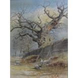 Thomas Smythe 1825/1906 an oak tree with sheep in the foreground, watercolour, signed. Framed and