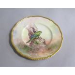 A Coalport hand painted cabinet plate decorated with a Parrot perched on trunk by Richard Budd