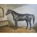 B Kytes - a Black Stallion in a stable setting, signed, oil on canvas. Framed, 50cms x 60cms.
