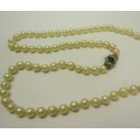 A string of cultured Pearls with a sapphire and diamond set clasp. Pearls 68cms l.