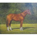 B J Davis - a Chestnut Stallion, signed, oil on canvas. Framed, 24cms x 29cms.
