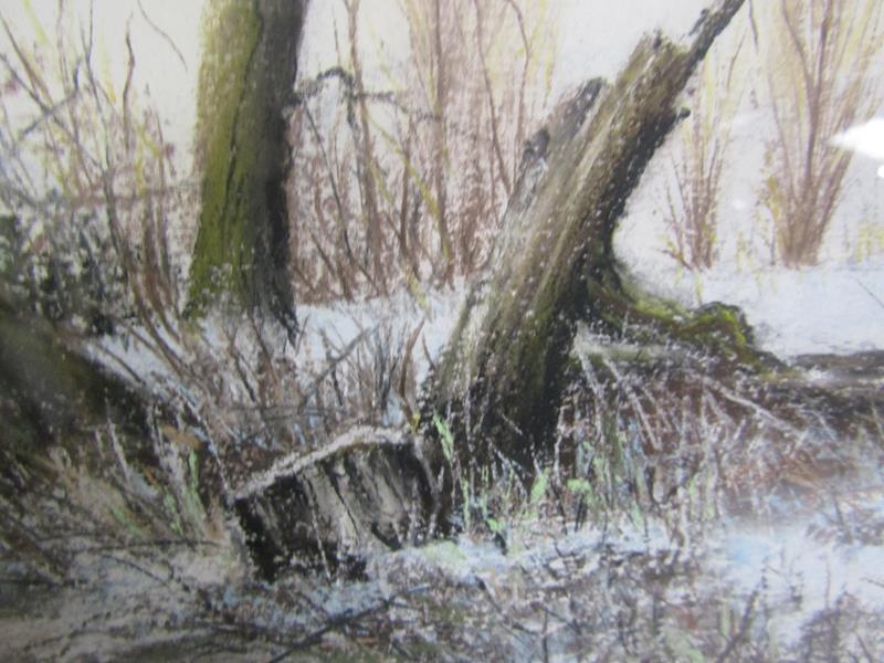 Ronald C Salvesen - Frost on the River Lea, pastel. Signed in mono. Framed and glazed 26cms x 40cms. - Image 3 of 5