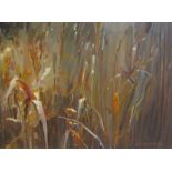 Melvyn Warren-Smith 2014 - Autumn reeds and rushes, signed and dated, oil on canvas. Framed, 74cms x