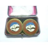 Two Himalayan Mountaineering Institute Darjeeling lapel badges