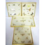 Four glazed display cases containing a collection of preserved butterflies,