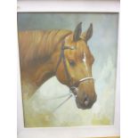 Artist unknown - oil on canvas Study of a horses head,