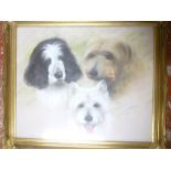 Marjorie Zaman - pastel Study of three dogs heads, signed,