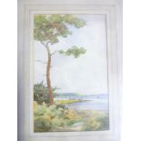 Richard West - watercolour "Christchurch from the Sandbank" signed, labelled to verso,