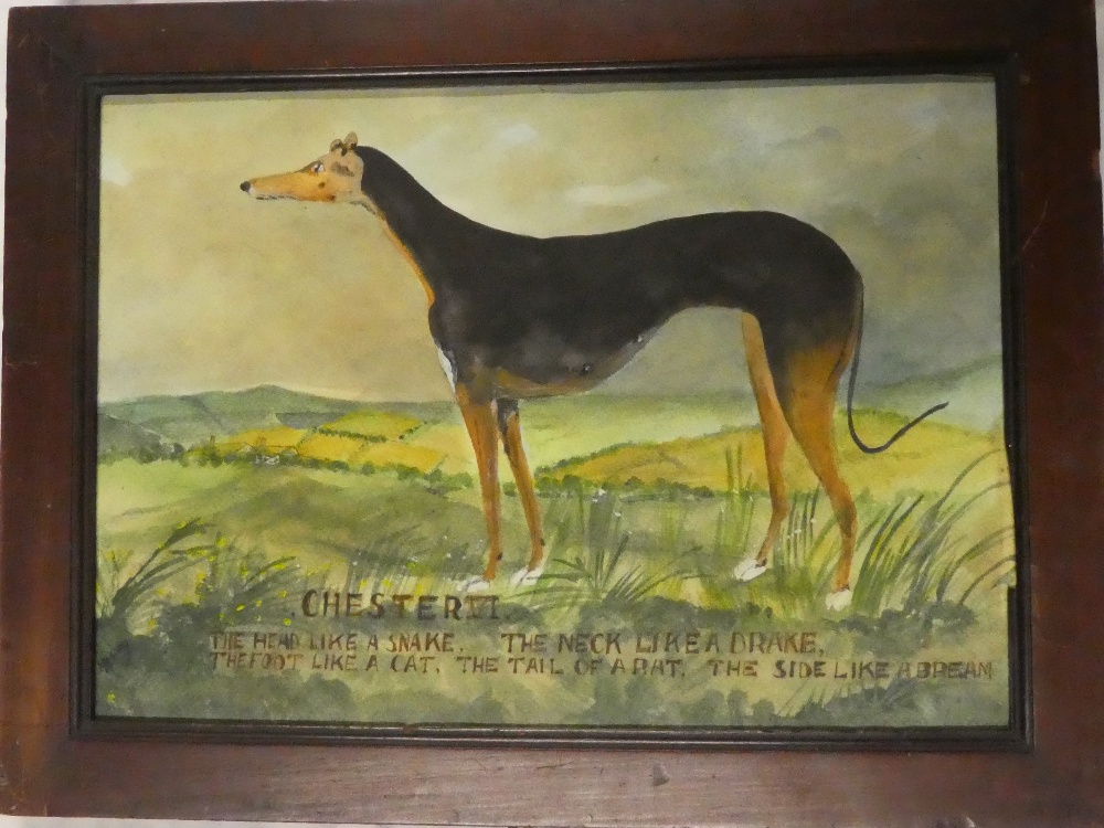 Artist Unknown - watercolour Study of a greyhound in a landscape "Chester VI - The Head like a