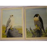 R**W**Twinney - oils on boards Study of two hawks, signed and dated 1970,