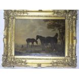 J**Harrison - oil on canvas 19th Century study of three horses in a field, signed & dated 1839,