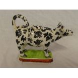 An early 19th Century Staffordshire pottery cow creamer with black and white decoration on