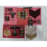 A collection of Welsh Guards badges and insignia including Officers enamelled cap badge,