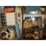 Two boxes containing a selection of various travel guides, pamphlets, booklets,