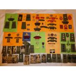 A collection of Cornwall Army Cadet Force badges and insignia including "Cadet Force" Officers