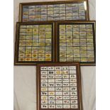 Four framed and glazed displays of cigarette cards including Players Sea Fishes, Players Poultry,