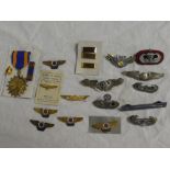 A selection of US Army Air Force metal wings including Air Crew, Glider Troops, Auxiliary,