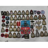 A collection of Army Air Corps badges and insignia including embroidered wire Pilots wings,