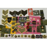 A collection of badges and insignia relating to the Light Infantry and Devon & Dorset Regiment