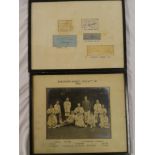 A framed display of four cricket signatures including D R Jardine 1932-33, L Hutton 1954/55,