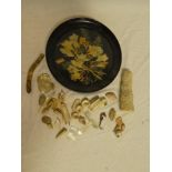 A framed display of dried flowers, coral piece, fossilized tooth, various shells,